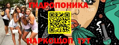 мдма Новодвинск